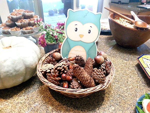 pine cones and owl