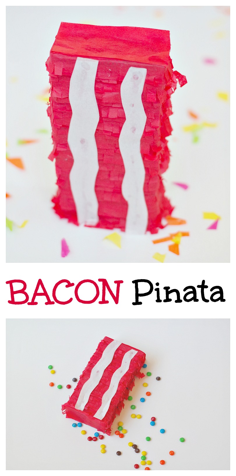 Bacon Pinata. Fun for parties and Father's Day.