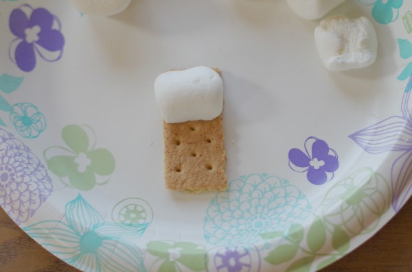 marshmallow stuck to graham cracker