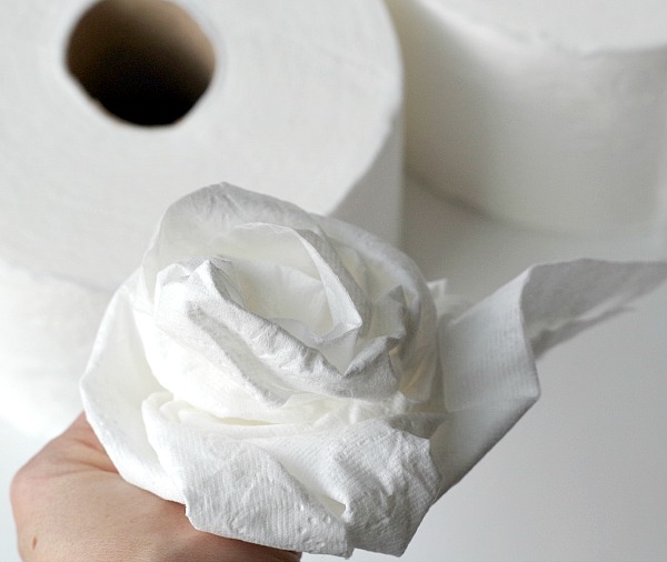 toilet paper bouquet funny bridal shower game
