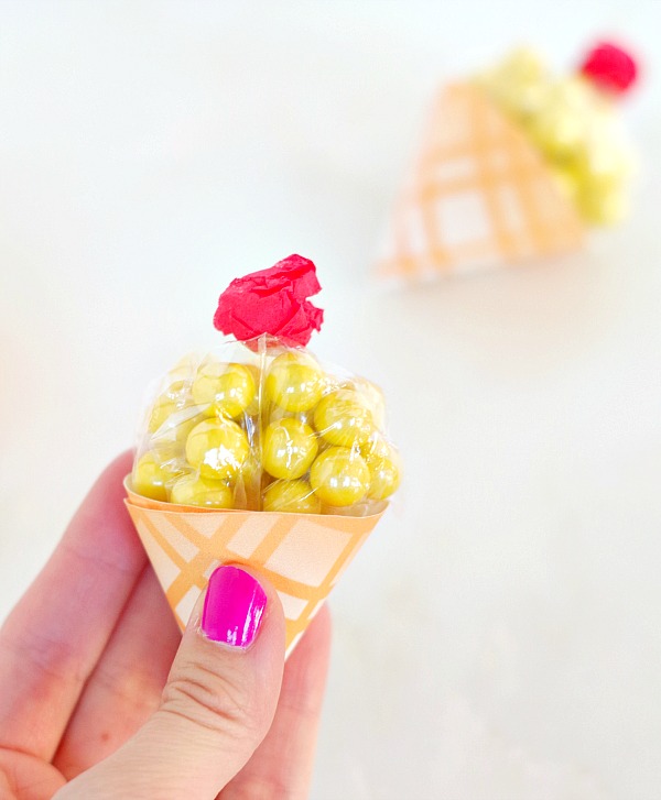 Ice Cream Candy Treat Cup