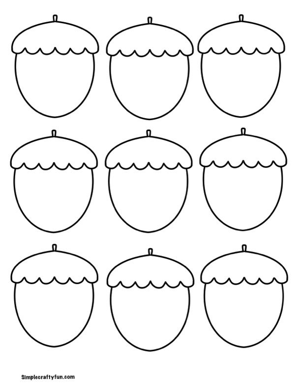 small acorns for crafts and decorations