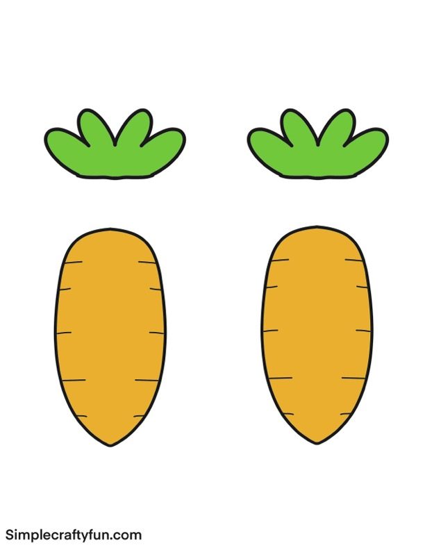 Carrot template medium round separate pieces in color
