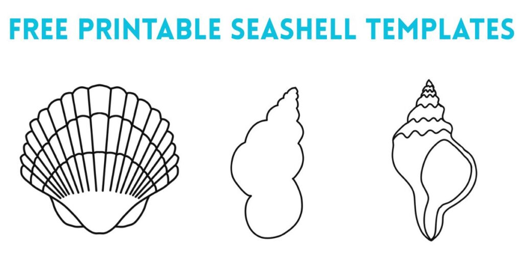 Free Printable Seashell Templates for crafts