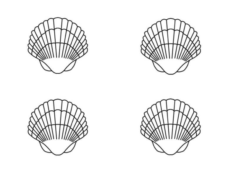 Seashell Template.pdf Free Printable Seashell Templates